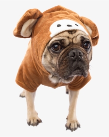 Dog Costume Transparent Png, Png Download, Transparent PNG