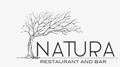Natura Logo Black, HD Png Download, Transparent PNG