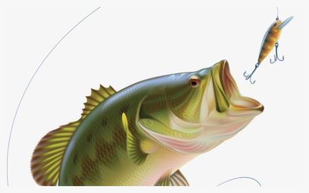 Bass Jumping Out Of Water, HD Png Download, Transparent PNG