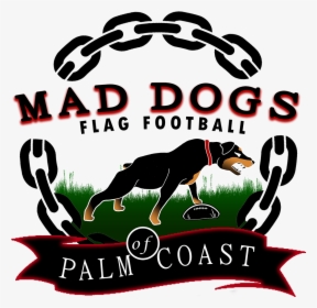 Mad Dogs Flag Football - Dog Catches Something, HD Png Download, Transparent PNG