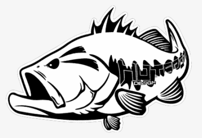 Bass, HD Png Download, Transparent PNG