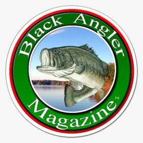 Bass, HD Png Download, Transparent PNG