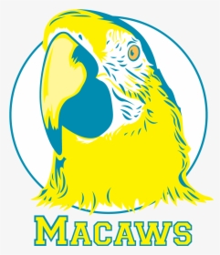 Frank Augustus Miller Middle School Macaw, HD Png Download, Transparent PNG