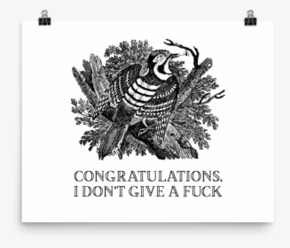 Congratulations, I Don T Give A Fuck Poster   Srcset - Thomas Bewick, HD Png Download, Transparent PNG