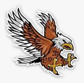 Apollo Middle School Emblem - Red-tailed Hawk, HD Png Download, Transparent PNG
