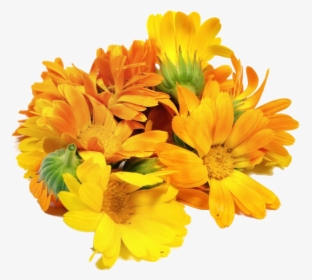 Mexican Marigold Floral Design Flower Calendula Officinalis - Transparent Background Bunch Flowers Png, Png Download, Transparent PNG