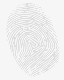 Fingerprint Transparent White - Circle, HD Png Download, Transparent PNG