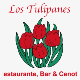 Photo Taken At Los Tulipanes By Los Tulipanes On 4/4/2016 - Air Astana, HD Png Download, Transparent PNG