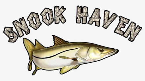 Snook Haven Logo, HD Png Download, Transparent PNG