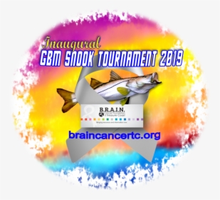 Tournament Color Logo 2019 - Poster, HD Png Download, Transparent PNG