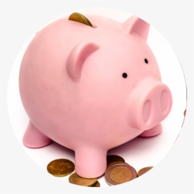 8 Pink Pig - Mutual Fund Piggy Bank, HD Png Download, Transparent PNG