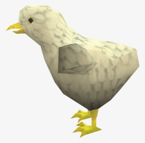 The Runescape Wiki - Chicken, HD Png Download, Transparent PNG