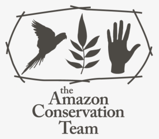 Amazon Conservation Team Logo, HD Png Download , Transparent Png Image ...