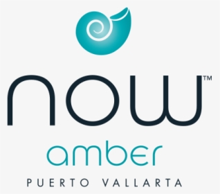 Portfolio Large Img - Now Onyx Punta Cana Logo, HD Png Download, Transparent PNG