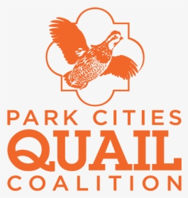 Pcqc 2019 Logo Clear Background - Park Cities Quail, HD Png Download, Transparent PNG