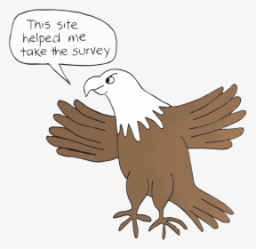 Giant Eagle Survey - Bald Eagle, HD Png Download, Transparent PNG