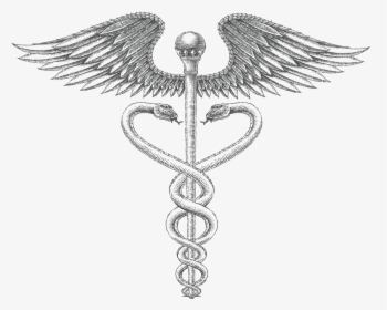 Roman Medical Symbol - Medical Logo Drawing In Black And Grey, HD Png Download, Transparent PNG