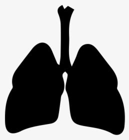 Respiratory System Svg Png Icon Free Download - Svg Respiratory System Png, Transparent Png, Transparent PNG