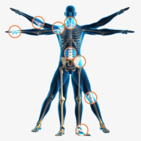 Physical Therapy Health Spinal Adjustment Human Body - Physical Therapy, HD Png Download, Transparent PNG