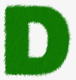 Letter D Png - Circle, Transparent Png, Transparent PNG