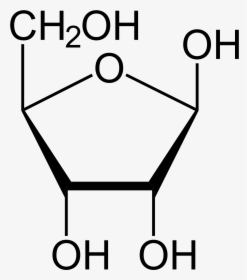 Fructose 1 6 Bisphosphate Structure, HD Png Download, Transparent PNG