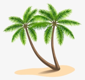 Long Coconut Tree Png Images - Coconut Tree Clipart Png, Transparent Png, Transparent PNG