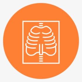 Services Icons Diagnostics - Seguridad Laboral Vector Png, Transparent Png, Transparent PNG