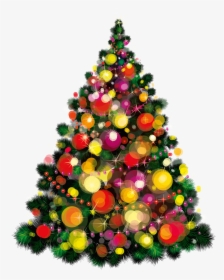 Christmas Tree Vector, HD Png Download, Transparent PNG