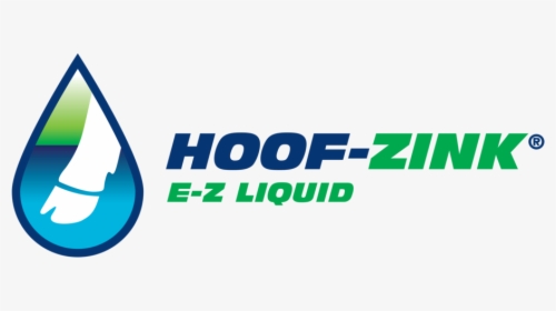 Hoofzink-logo 2017 - Graphic Design, HD Png Download, Transparent PNG