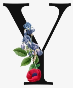 Garden Roses, HD Png Download, Transparent PNG