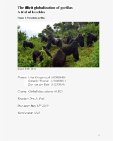 Gorilla Ape, HD Png Download, Transparent PNG