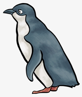 Penguin Clip Art Vector Graphics Royalty-free Image - Little Blue Penguin Clipart, HD Png Download, Transparent PNG