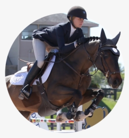 Maggie Hill Testimonial - Equitation, HD Png Download, Transparent PNG