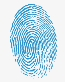 Fingerprint Background Transparent - Fingerprint Png Transparent, Png Download, Transparent PNG