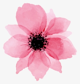 To Download Click The Following - Flower, HD Png Download, Transparent PNG