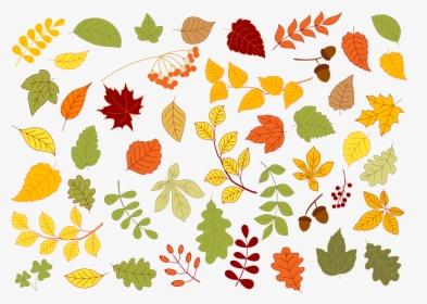 Maple, Oak, Birch, Linden And Herbs Leaves Set In Red,, HD Png Download, Transparent PNG