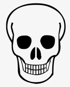 Skeleton, Skull Png Image - Skull Clipart Transparent Background, Png Download, Transparent PNG