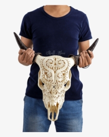 Carved Cow Skull - Skull, HD Png Download, Transparent PNG