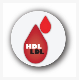 Cholesterol - Circle, HD Png Download, Transparent PNG
