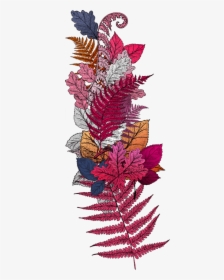 Floral Ornament - Illustration, HD Png Download, Transparent PNG