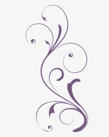 Transparent Curly Design Clipart - Drawing, HD Png Download, Transparent PNG