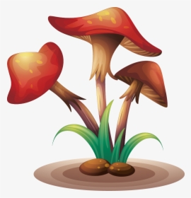 Fungus Clip Art Mushrooms - Illustration, HD Png Download, Transparent PNG