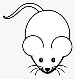 White Mouse Black Background, HD Png Download, Transparent PNG
