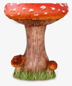 Mushroom Png Transparent Images - Amanita Mushroom, Png Download, Transparent PNG