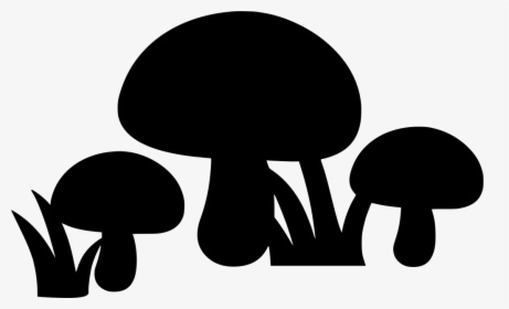 Agaricaceae, HD Png Download, Transparent PNG