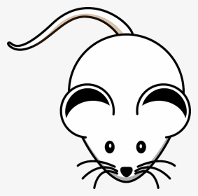 Mouse Coloring Pages, HD Png Download, Transparent PNG