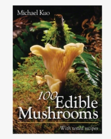 100 Edible Mushrooms      Data Rimg Lazy   Data Rimg - 100 Edible Mushrooms, HD Png Download, Transparent PNG