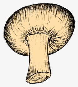Mushroom Drawing 5 - Russula Integra, HD Png Download, Transparent PNG