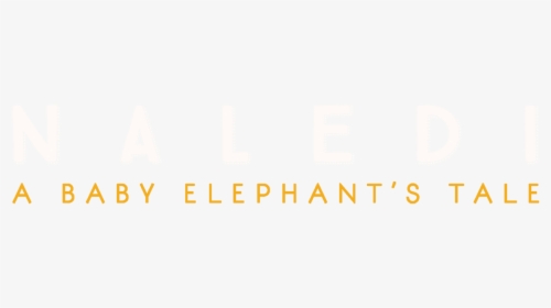 A Baby Elephant S Tale, HD Png Download, Transparent PNG