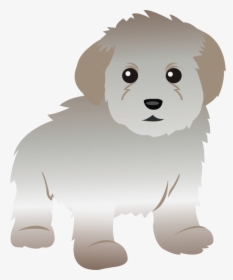 Maltese Cliparts - Toy Poodle Clip Art, HD Png Download, Transparent PNG